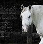 Image result for Horse Love Quotes