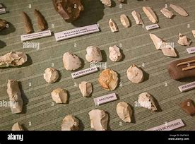 Image result for Prehistoric Tools