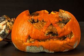 Image result for Rotten Pumpkin