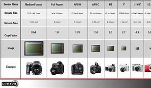 Image result for Nikon Sensor Size