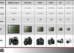 Image result for iPhone 12 Sensor Size vs M43