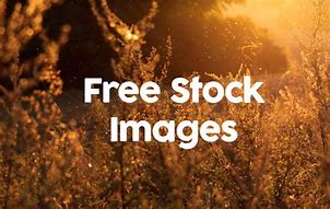 Image result for Royalty Free Stock 100