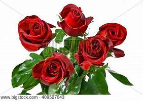 Image result for 5 Roses Bouqet