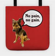 Image result for dog pain memes