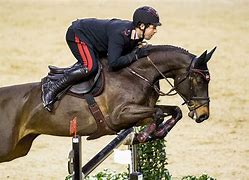 Image result for Show Jumping Photography Horse