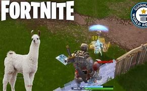 Image result for Alpaca Playing Fortnite