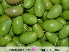 Image result for aceitunaco