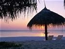 Image result for Free Beach Scene Wallpaper for Computers