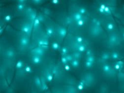 Image result for Neon Turquoise