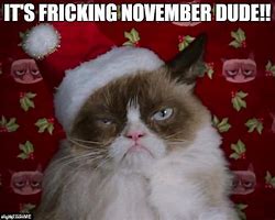 Image result for November Cat Meme