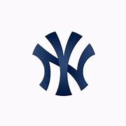 Image result for Yankees Apple iPhone 12 Waterproof Case