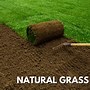 Image result for Natural Vs Artificial