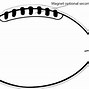 Image result for Football Outline