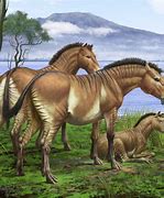 Image result for Ancient American Horse