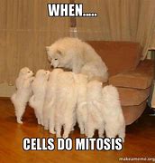 Image result for Mitosis Is a Disease Meme