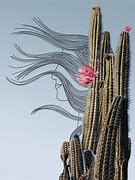 Image result for Georgia Cactus Lady