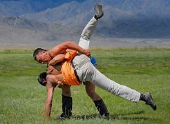 Image result for Mongolian Wrestling Book