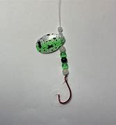 Image result for Live-Bait Fishing Rigs