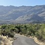 Image result for Cactus Forest Loop Drive