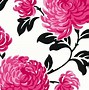 Image result for Black Pink Background Design