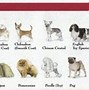 Image result for Stuture Types