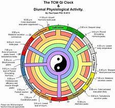 Image result for Chinese Medicine Chart