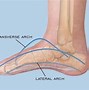 Image result for How to Measure Foot Arch