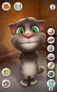 Image result for Cat Tolking App