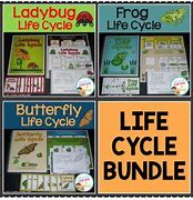 Image result for Animal Life Cycle Books