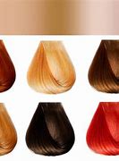 Image result for Right Hair Color for Skin Tone