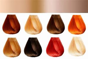 Image result for Cool-Toned Hair Colors