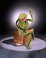Image result for Kermit the Frog None of My Business