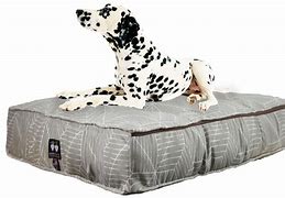 Image result for Outdoor Dog Beds Waterproof