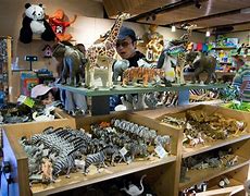 Image result for Zoo Gift Shop