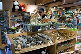 Image result for Brookfield Zoo Gift Shop