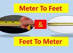 Image result for How Long Is a Meter in Feet