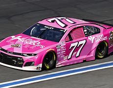 Image result for Nascar Championship