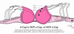 Image result for 28C Cup Size Example