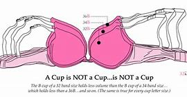 Image result for Small Band Large Extruding Cup