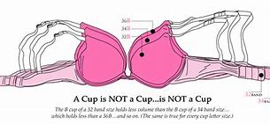 Image result for Large Cup Small Band