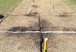 Image result for Bad Pitch Cricket