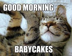 Image result for Morning Cat Meme Sticker