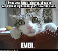 Image result for On My Way Cat Meme