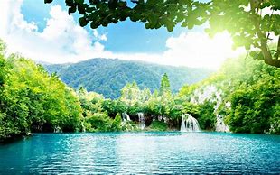 Image result for Nature BG for Web Page