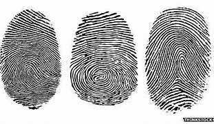 Image result for Fingerprint Clip Art Free