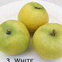Image result for California Apple Variety