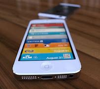 Image result for iPhone 5 White and Gold