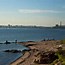 Image result for New Haven CT Seaweed in the Harbor