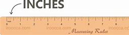 Image result for What Does Eight Inches Look Like