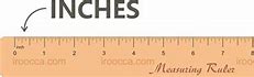 Image result for What Does 8 Inches Look Like